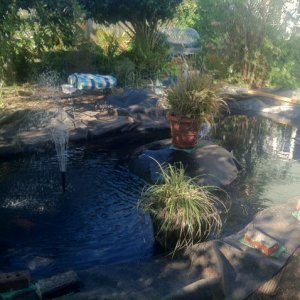 Pond looking East