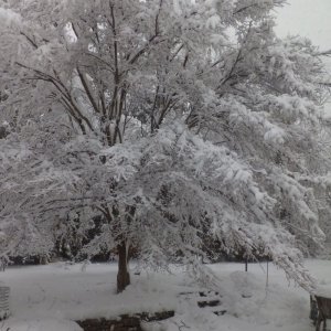 pond In snow