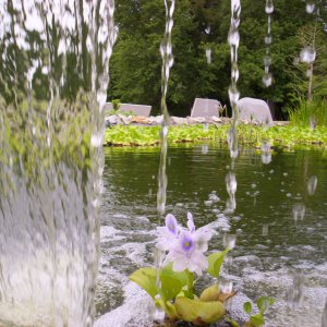 Waterfall peeking out.