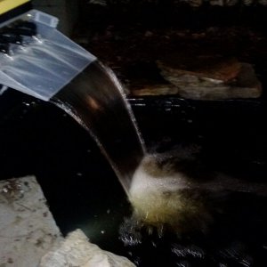 DIY Waterfall 3