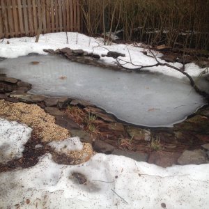 pond thawing in March