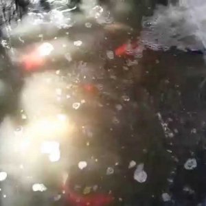 Small pond 1200 gallons with Skippy Flter - YouTube
