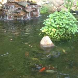 Fall asleep to waterfall