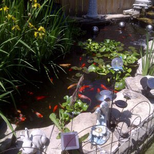 pond 2