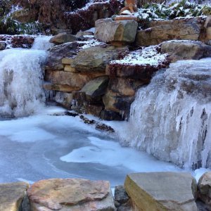 Pond in Winter