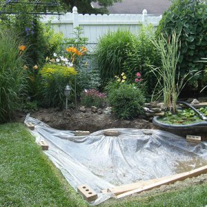 New/old Pond #2