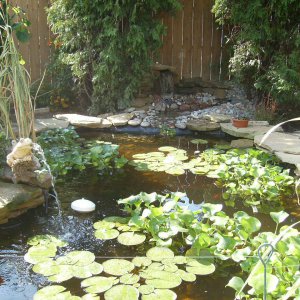 Pond Under Construction-July 2009 #10