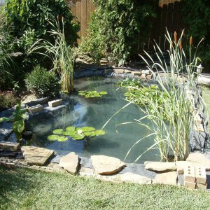 Pond Under Construction-July 2009 #9