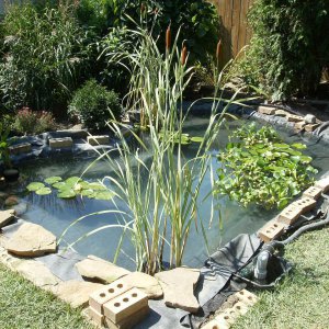 Pond Under Construction-July 2009 #8