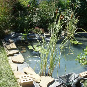 Pond Under Construction-July 2009 #7