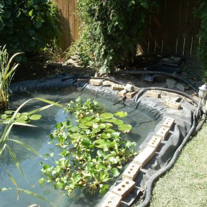 Pond Under Construction-July 2009 #6