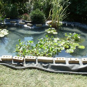 Pond Under Construction-July 2009 #5