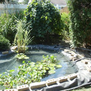 Pond Under Construction-July 2009 #3