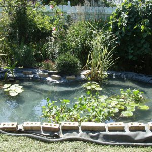 Pond Under Construction-July 2009 #2