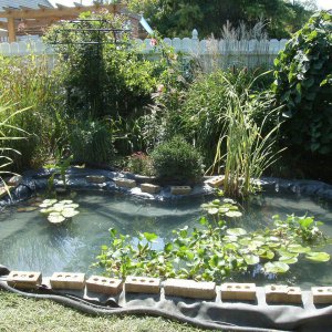 Pond Under Construction-July 2009 #1