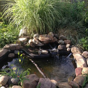 Pond #2