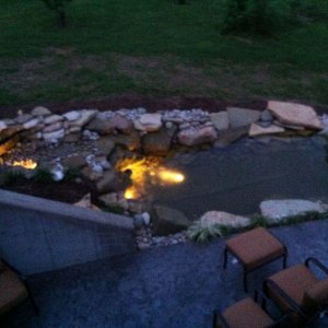 My pond