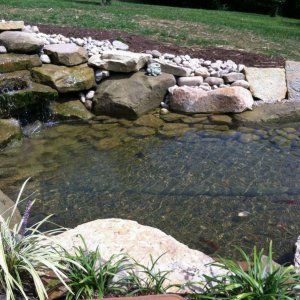 My pond