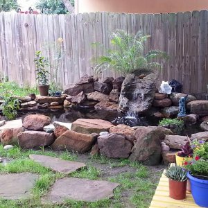 My Pond