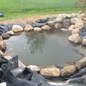 Pond Build July/August 2013