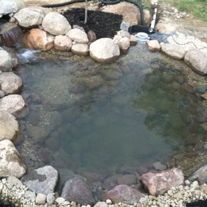 Pond Build July/August 2013