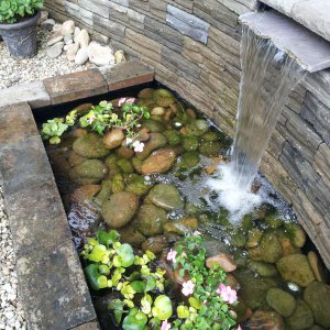 Pond/Fountain