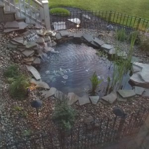 Fresh stone