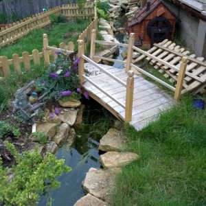 Stream to Fish Pond