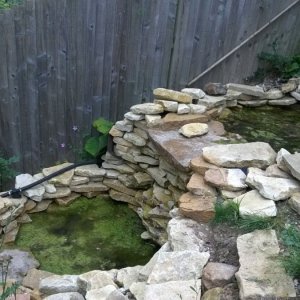 Waterfall Pools