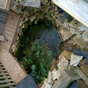 Bottom Pond