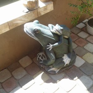froggy helper