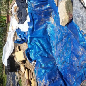 Pool cover