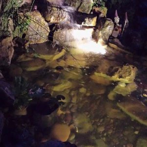 Night Lighting in Young's Pond