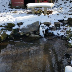 Spring-fed Pond #2