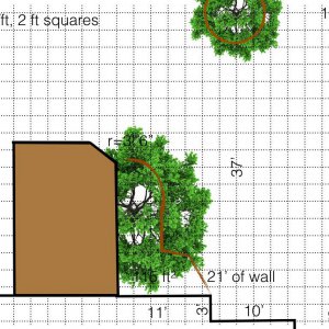 Existing diagram of the back yard