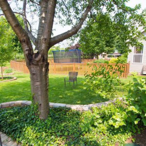 Future pond area from the doorway