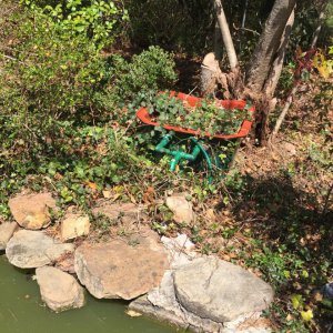 pond2