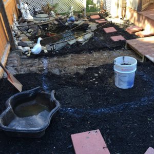 The rebuild begins for a larger pond