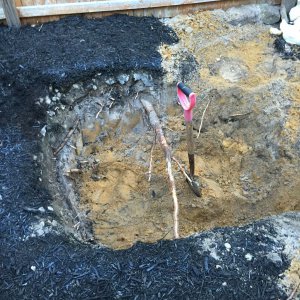 The digging begins