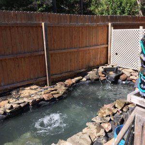 Pond before plants added.