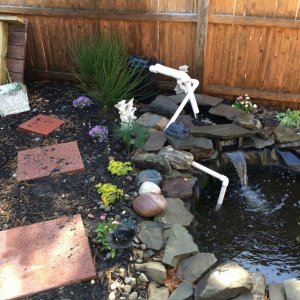 With some plants and rock work done