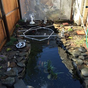 Another angle with plants and rock work done