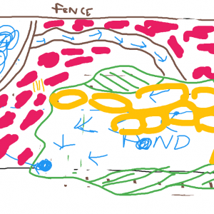 Pond Plan
