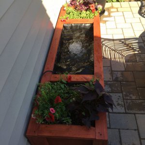 Planter all set up