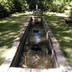 Reflection pond.
