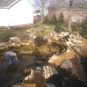 Bog addition and cleanout on Kentucky pond