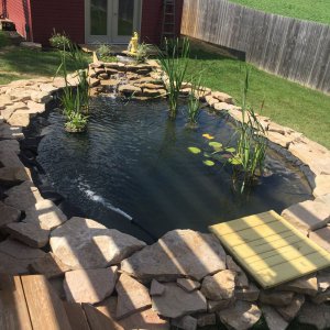 Pond1