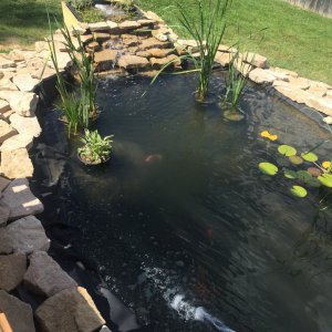 Pond2