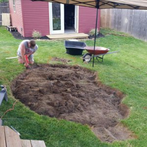 cutting roots