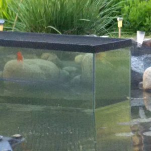 The aquarium experiment